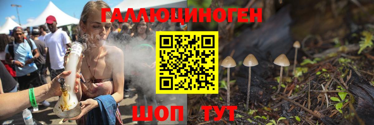 Борзя  Псилоцибиновые грибы GOLDEN TEACHER  Вход с VPN  Псилоцибиновые грибы MAGIC MUSHROOMS 